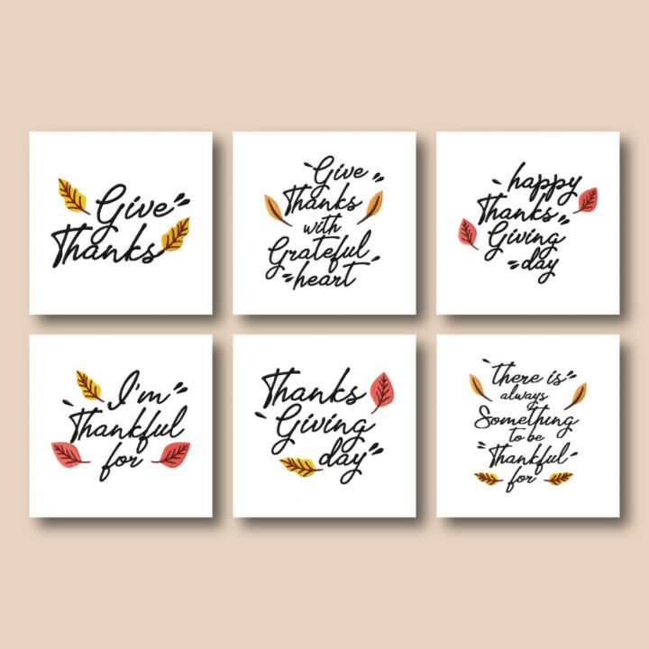 19 Big Thanksgiving Typography Embroidery Design Pack - Image 3