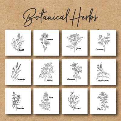 12 Botanical Herbs Embroidery Design Pack