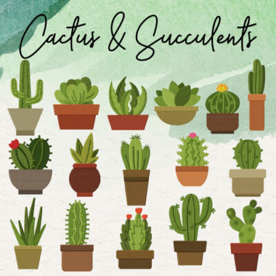 16 Cactus And Succulents Stitched Embroidery Design Pack