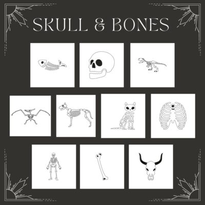 10 Skull and Bones Stitched Embroidery Design Pack