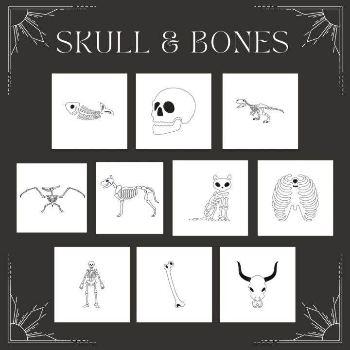 10 Skull and Bones Stitched Embroidery Design Pack
